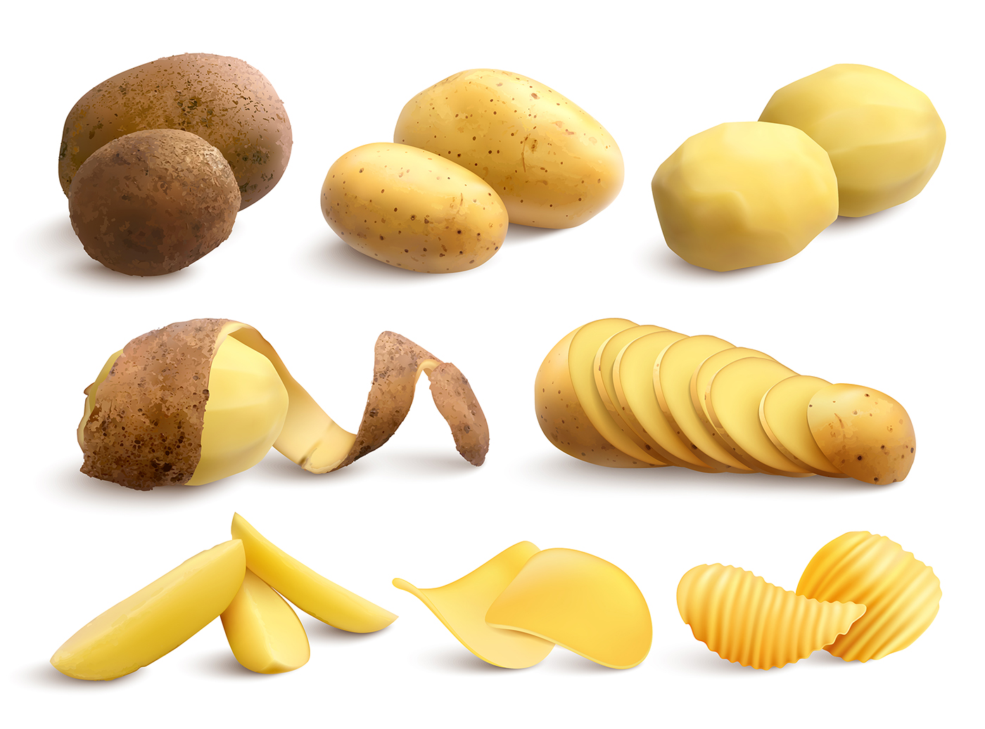 Raw And Fried Potato Realistic Set